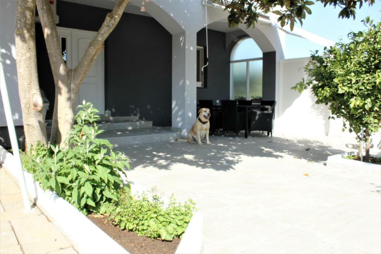 Holiday House Zaton Nin Exterior foto